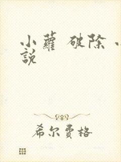小萝 破除 小说