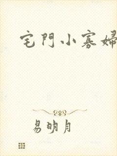 宅门小寡妇