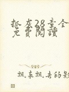 抓灰28章全部免费阅读