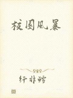 校园风暴