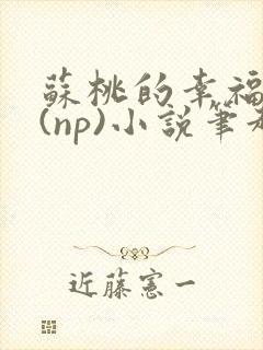 苏桃的幸福生活(np)小说笔趣阁沐沐