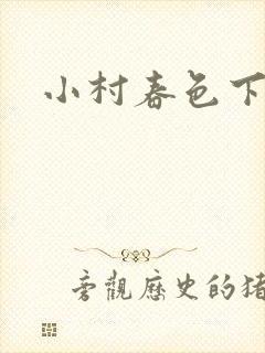 小村春色下载