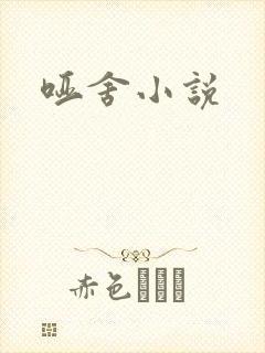 哑舍小说封面