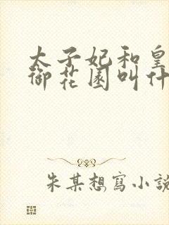 太子妃和皇帝在御花园叫什么小说