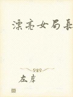 漂亮女局长封面