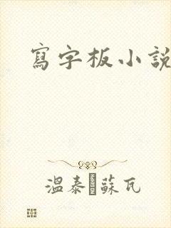 写字板小说