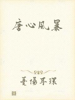 唐心风暴