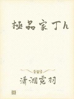 极品家丁h