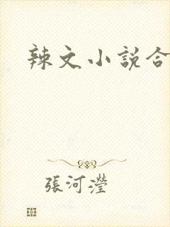 辣文小说合集