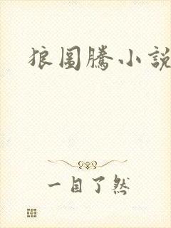 狼图腾小说封面