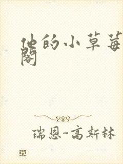 他的小草莓笔趣阁
