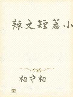 辣文短篇小说