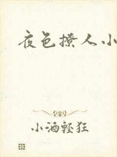 夜色撩人小说封面