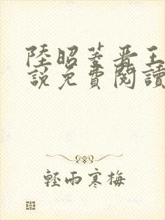 陆昭菱晋王的小说免费阅读