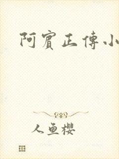 阿宾正传小说