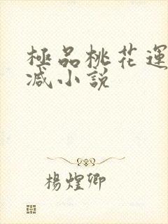 极品桃花运未删减小说封面