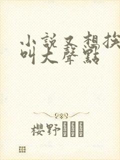 小说又想挨C了叫大声点封面