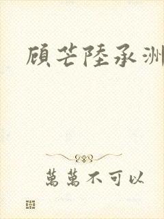 顾芒陆承洲