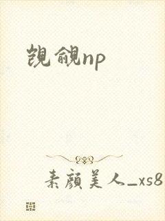 觊觎np