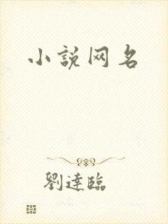 小说网名