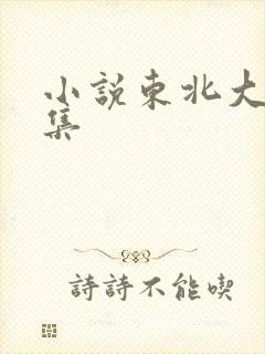 小说东北大炕全集