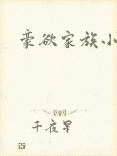 豪欲家族小说