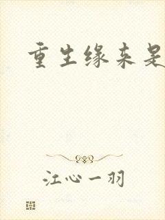 重生缘来是你封面