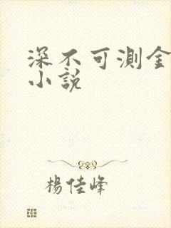 深不可测金银花小说