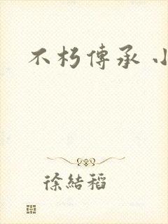 不朽传承 小说