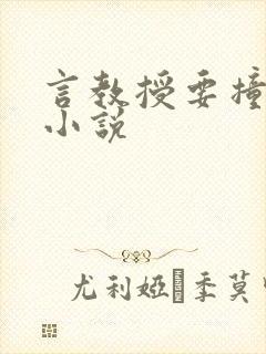 言教授要撞坏了小说