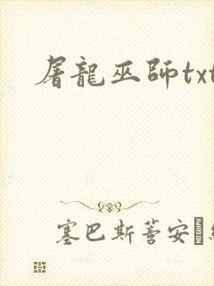 屠龙巫师txt