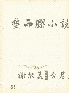 双面胶小说