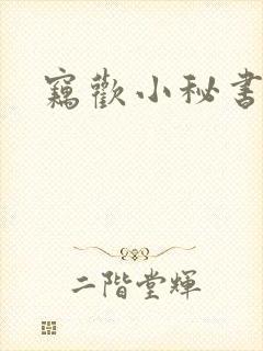 窃欢小秘书