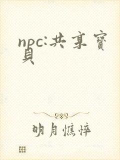 npc:共享宝贝