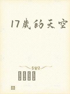 17岁的天空封面