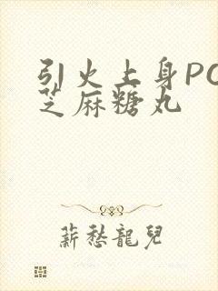 引火上身POP芝麻糖丸封面