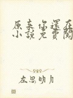 原来你还在这里小说免费阅读