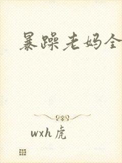 暴躁老妈全集