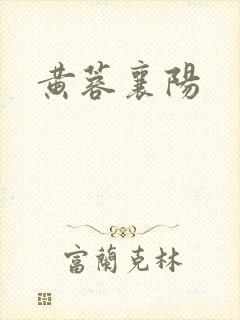 黄蓉襄阳