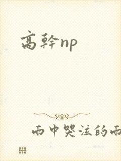 高干np