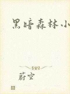 黑暗森林小说封面