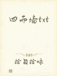 四面墙txt