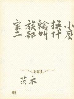 家族轮换小说第二部叫什么名字