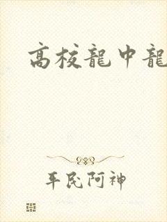 高校龙中龙封面