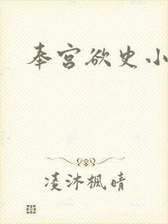 奉宫欲史小说封面