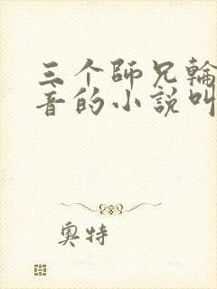 三个师兄轮流上音的小说叫什么封面