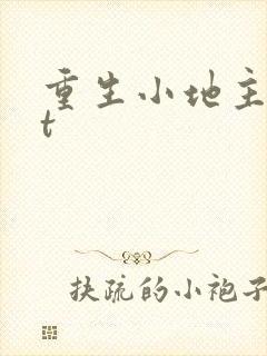 重生小地主txt