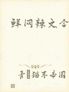 鲜网辣文合集