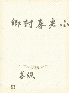 乡村春光小说