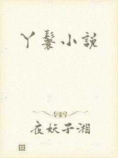 丫鬟小说